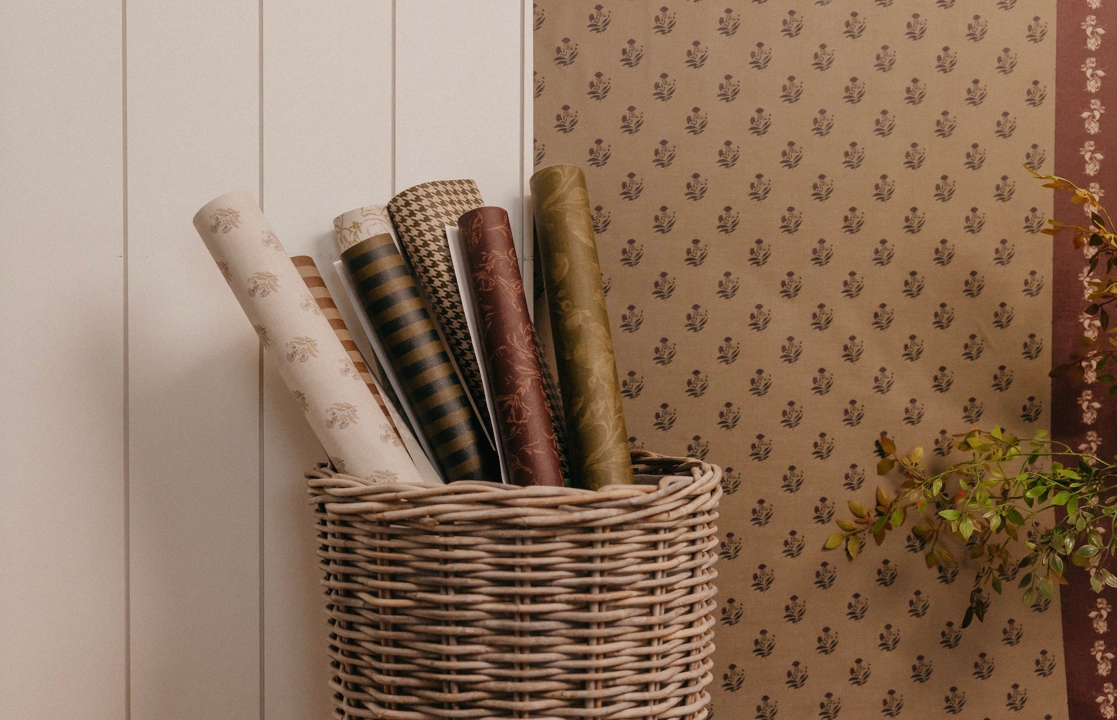 Ashbury Stripe Wallpaper by Safari Natalia x Taddy Mikelaites