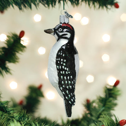 Hanging Hairy Woodpecker
