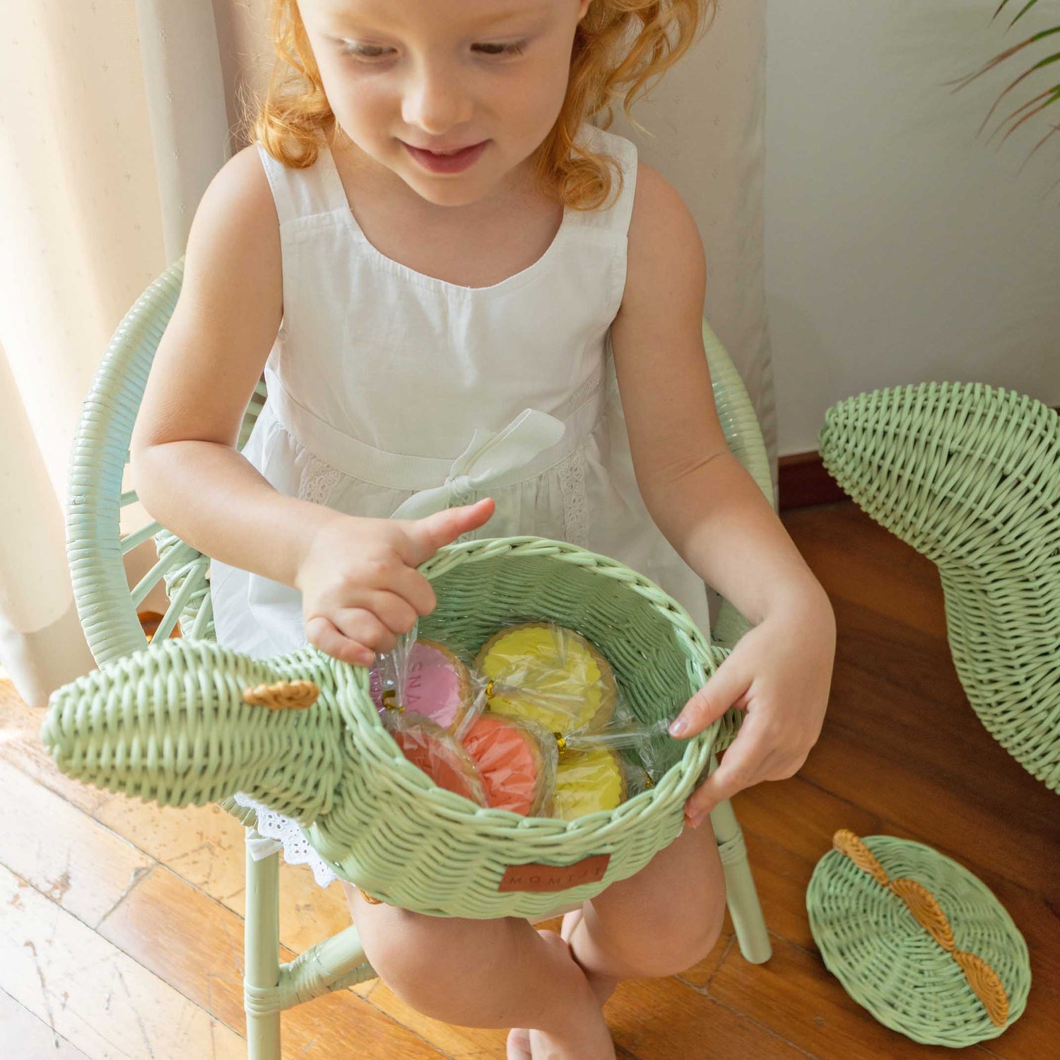 Dinosaur Basket Small - Mint Green