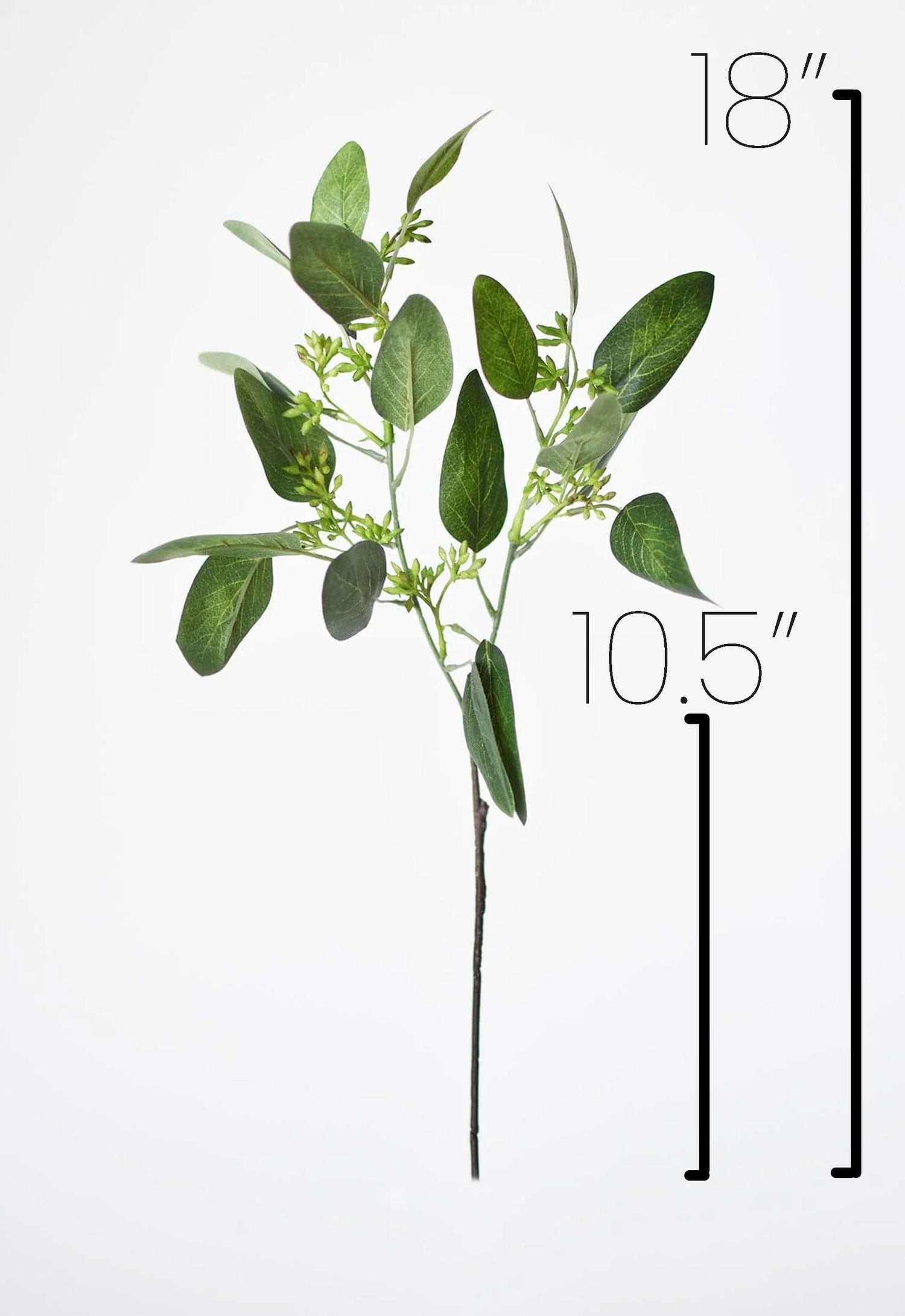 18" Faux Seeded Eucalyptus Stem