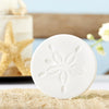 By the Shore Sand Dollar Coaster