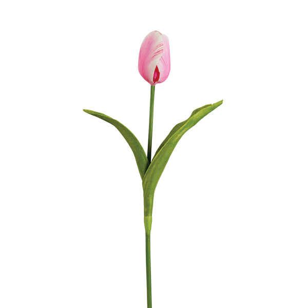 Tulip Pick - Box of 2