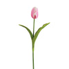 Tulip Pick - Box of 2