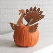 Set of Four Turkey Pumpkin Decorating Picks