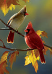 Fall Cardinal-Flag