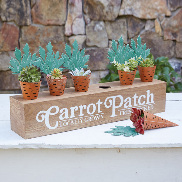 Carrot Patch Display Box