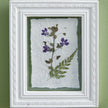 Pressed Botanical Wall Decor - Violets