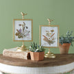 Gilded Pressed Botanical Stand - Corydalis and Chrysanthemum