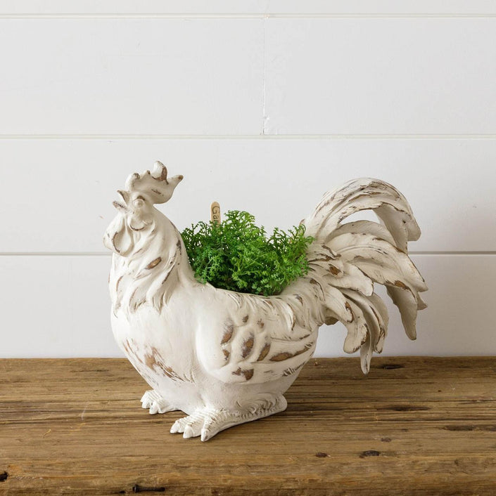 PLANTER - ROOSTER