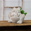 CEMENT PLANTER - FROG