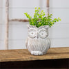 CEMENT PLANTER - OWL