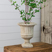 Cement Planter- Urn