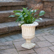 Cement Planter- Urn