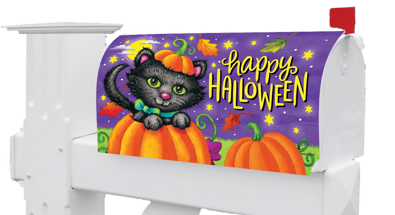 Halloween Cat-Mailbox Makeover