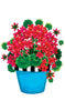 Geranium-Signature Sign Icon