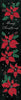 Poinsettia on Black-Yard Expression