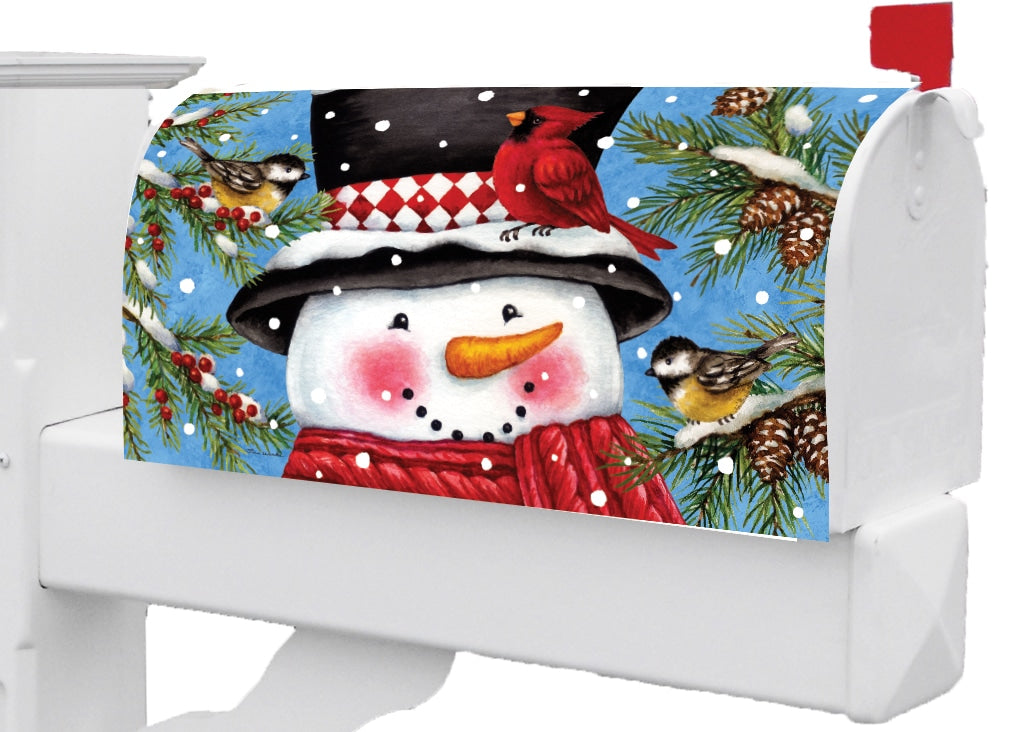 Snowman &amp; Birds-Mailbox Makeover