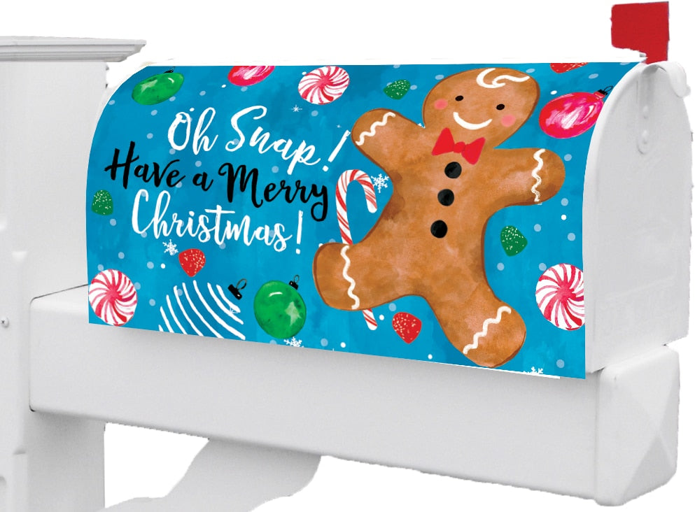 Oh Snap!-Mailbox Makeover