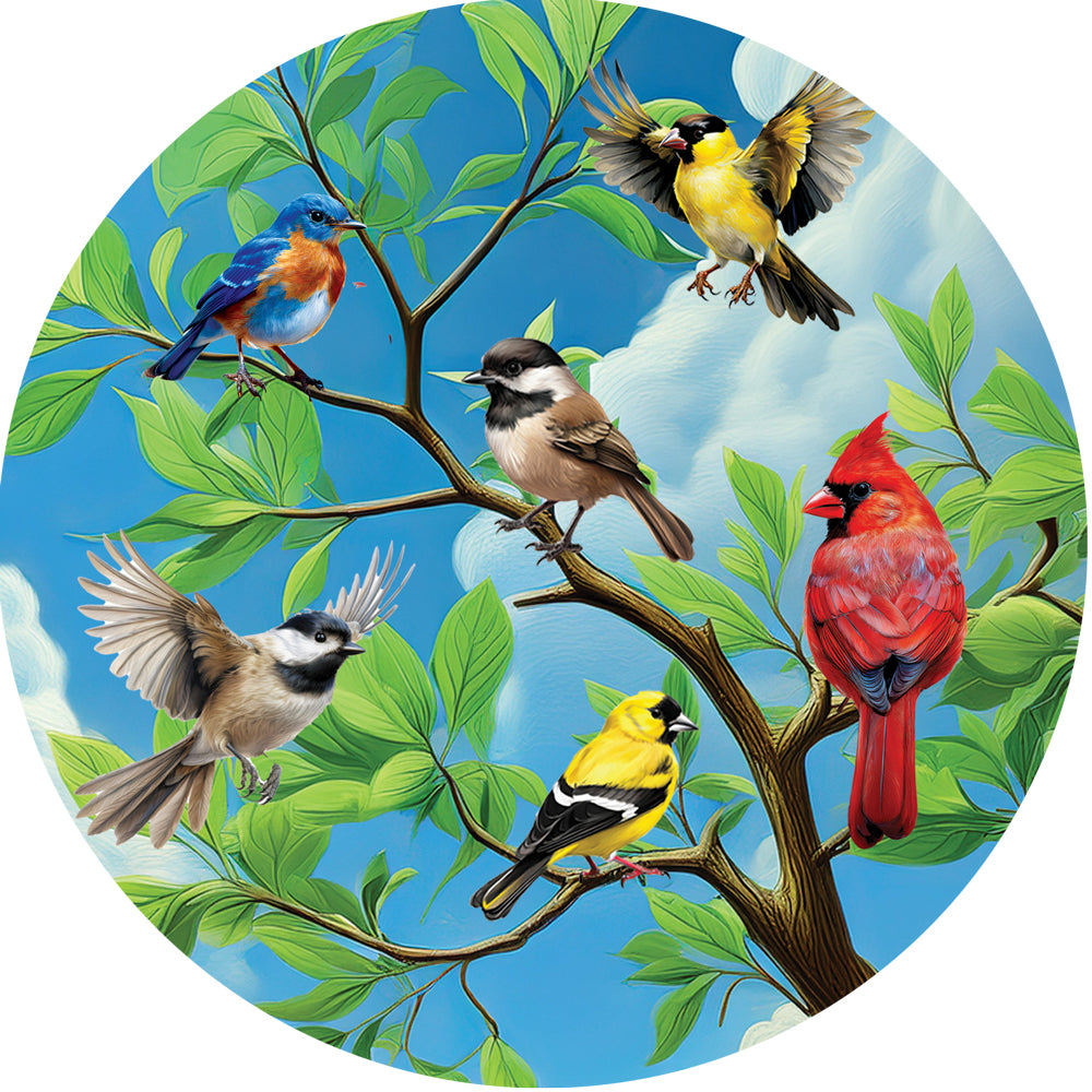 Bird Branch-Stepping Stone