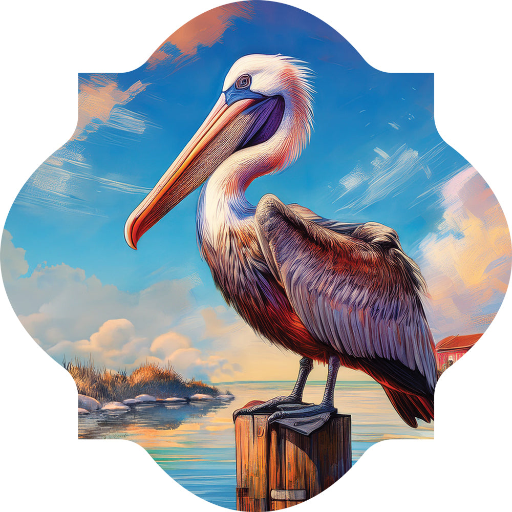 Pelican on Post-LG Hang Around