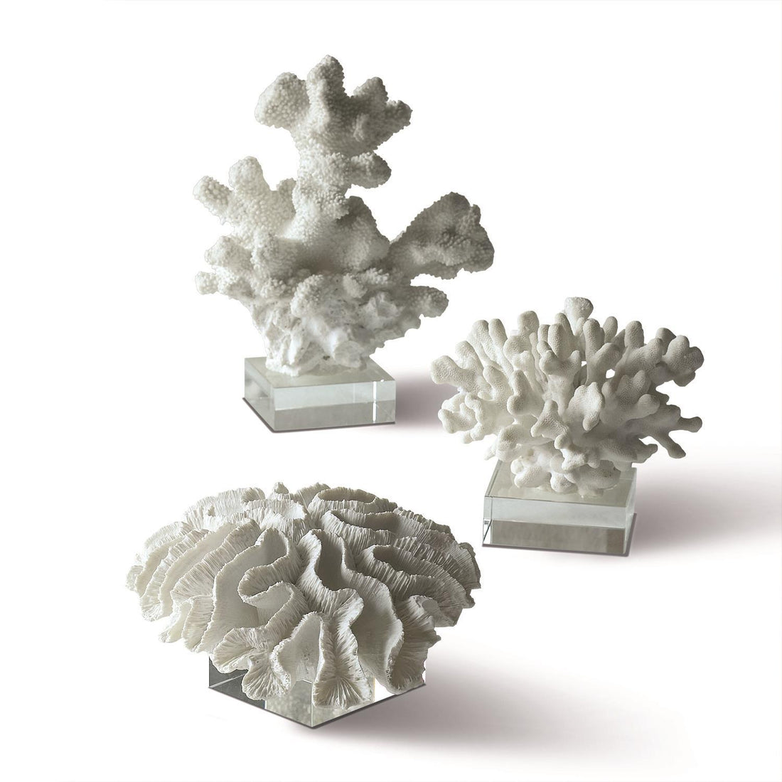 Reef Set of 3 White Coral Sculptures on Glass Stand