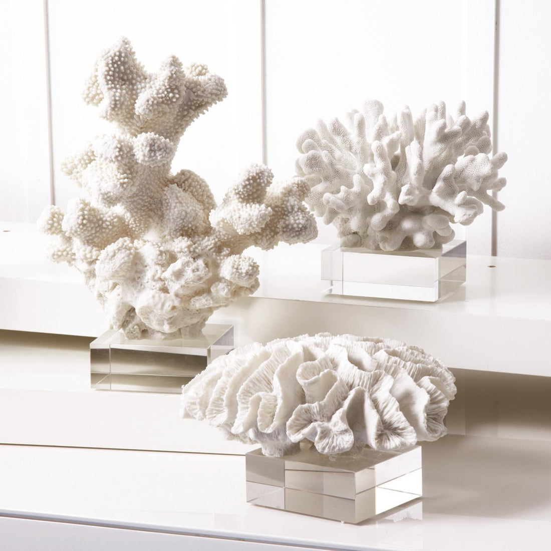 Reef Set of 3 White Coral Sculptures on Glass Stand