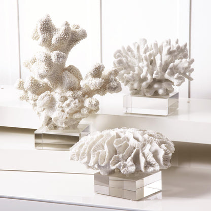 Reef Set of 3 White Coral Sculptures on Glass Stand
