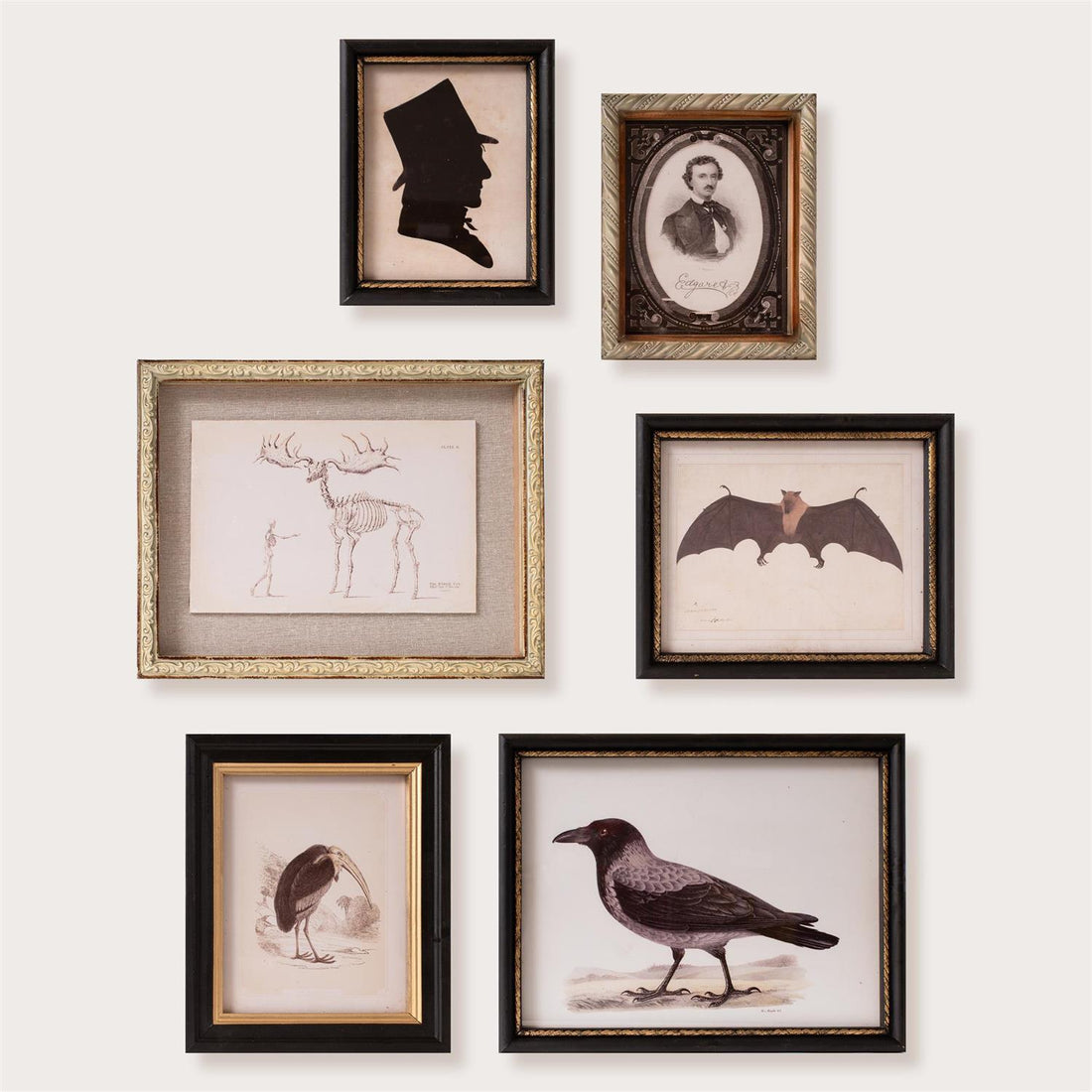 Gallery Wall - Midnight Curiosity