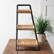 Three-Tier Leaning Display Shelf