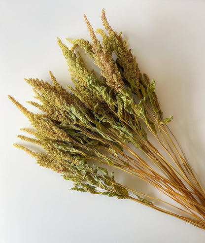 Dried Amaranth Pistachio