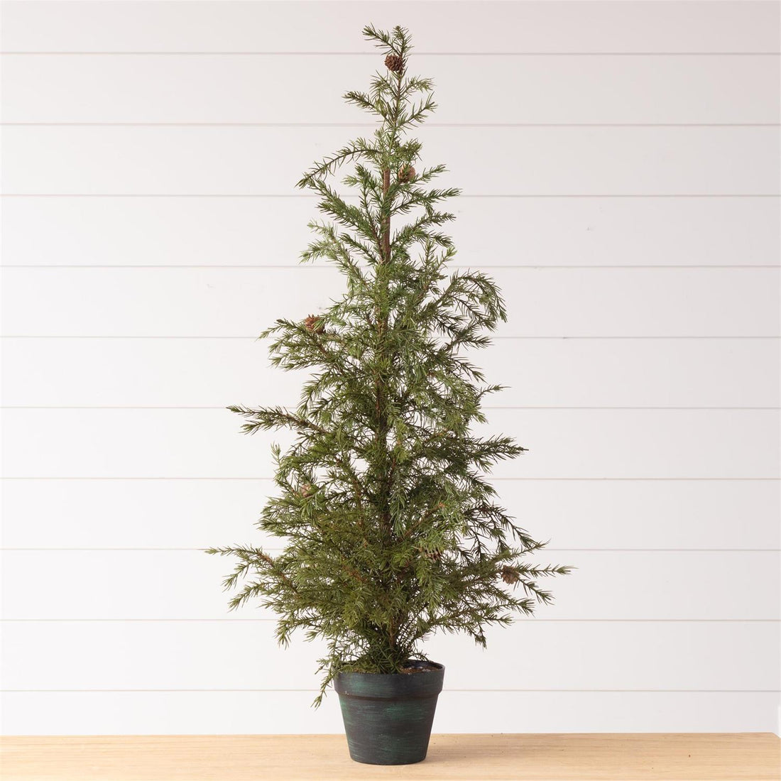 Potted Christmas Fir Pine Tree, Lg