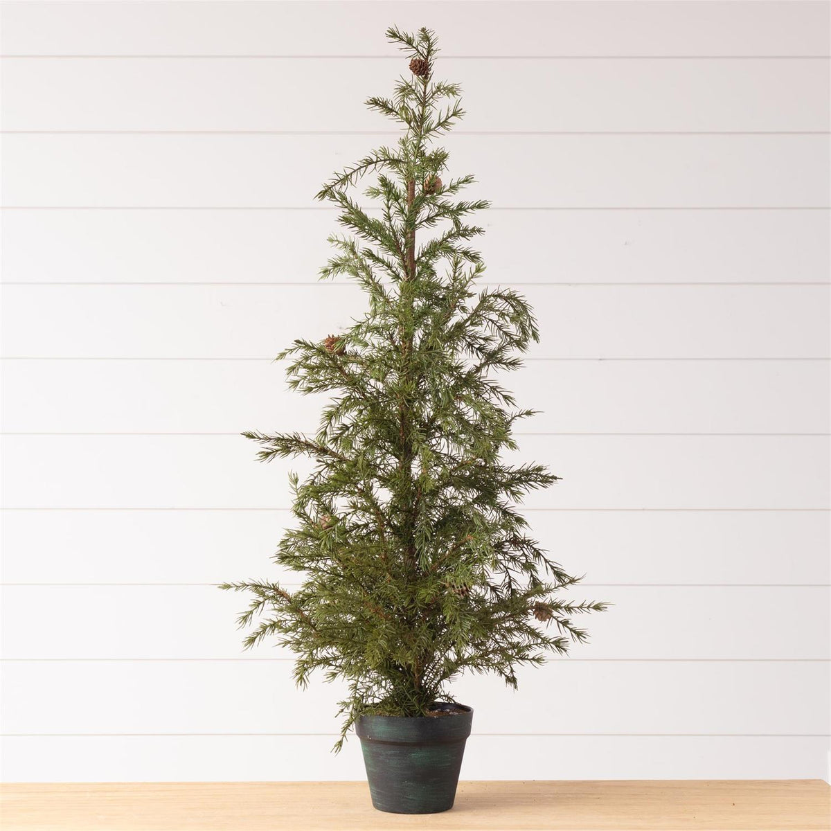 Potted Christmas Fir Pine Tree, Lg