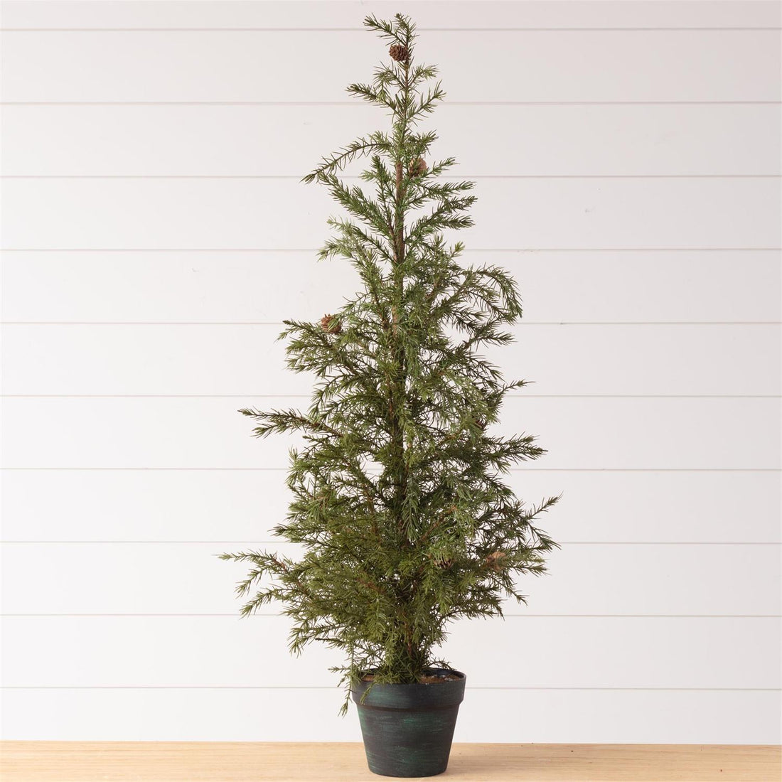 Potted Christmas Fir Pine Tree, Lg