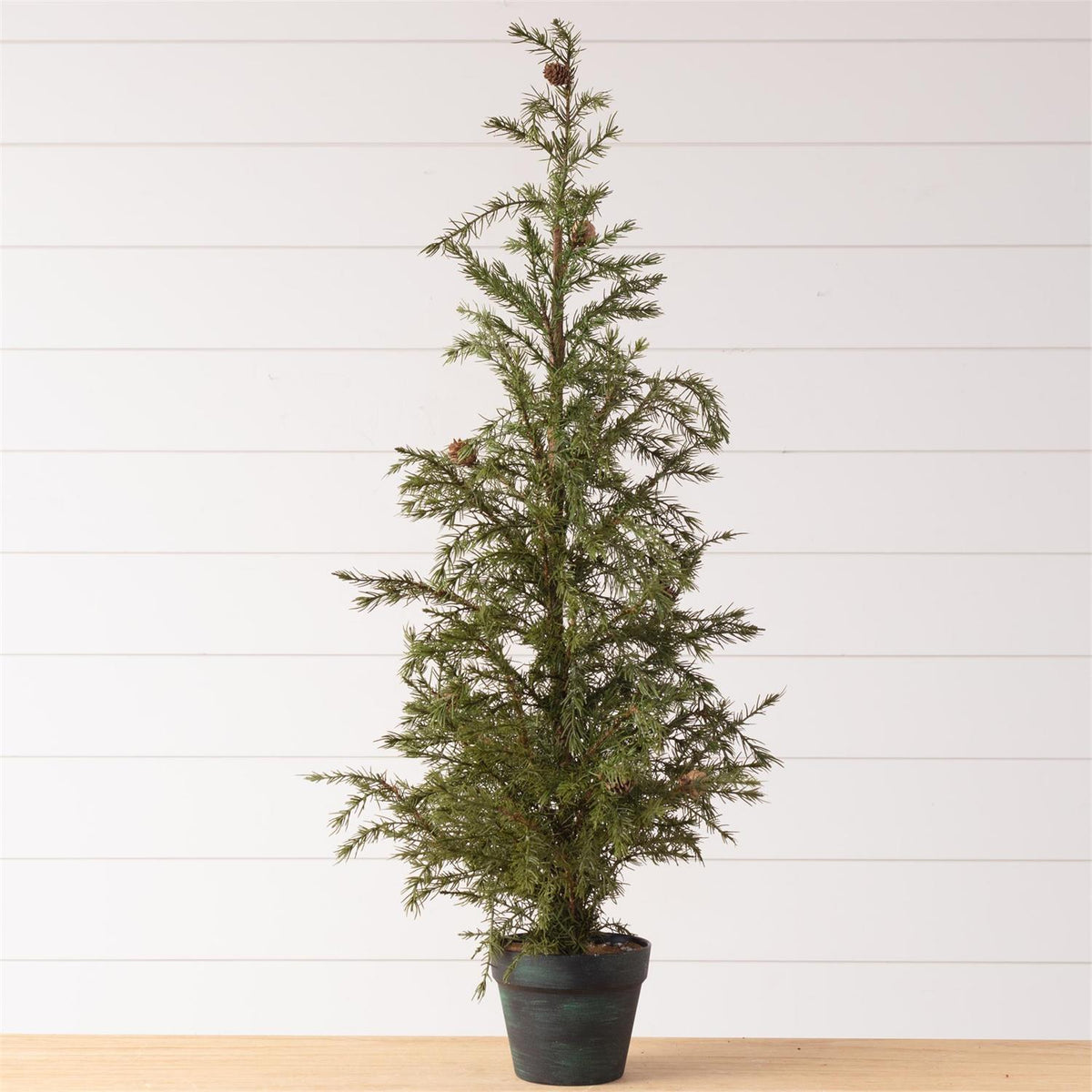 Potted Christmas Fir Pine Tree, Lg