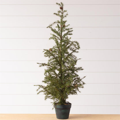 Potted Christmas Fir Pine Tree, Lg
