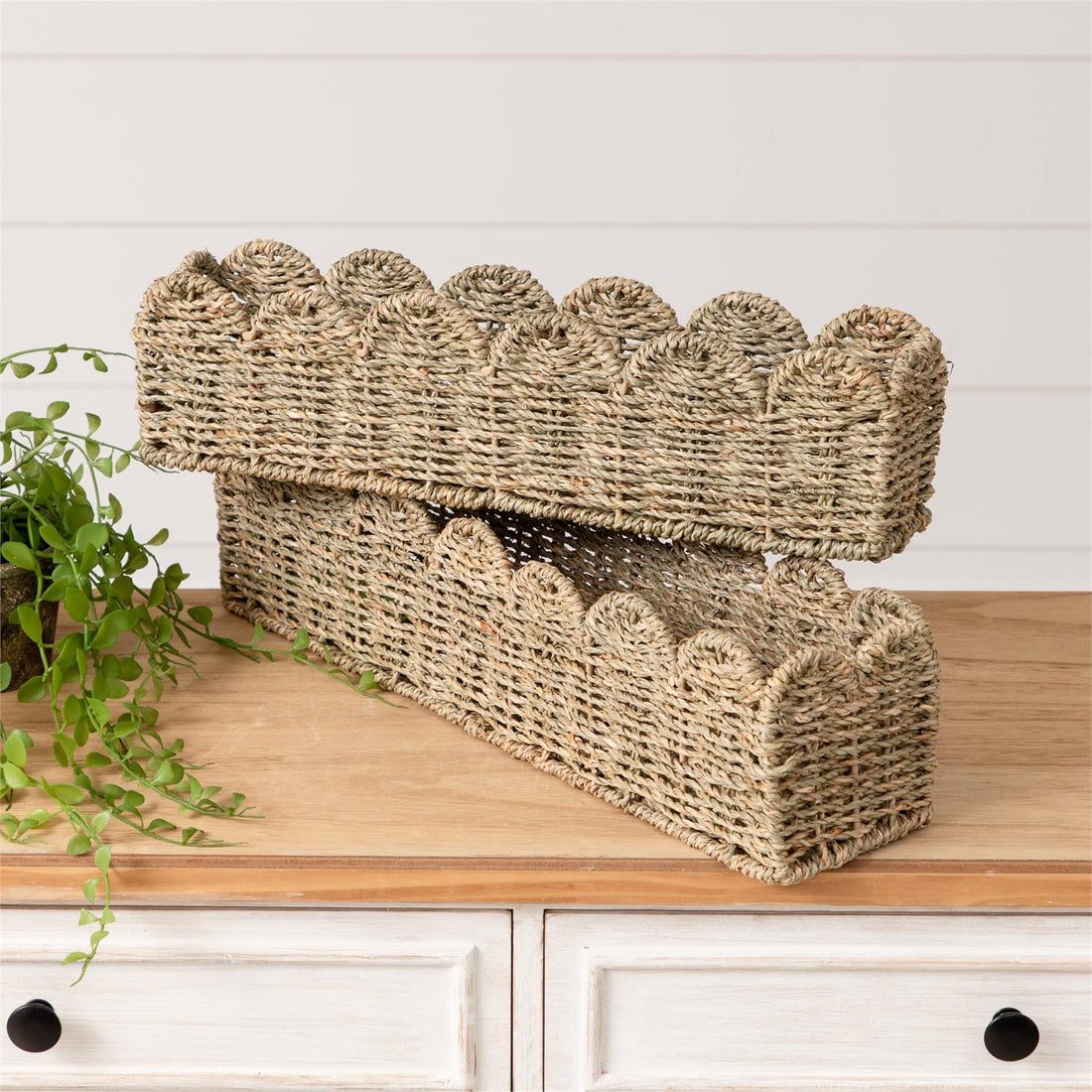 Scalloped Edge Seagrass Baskets, Wide