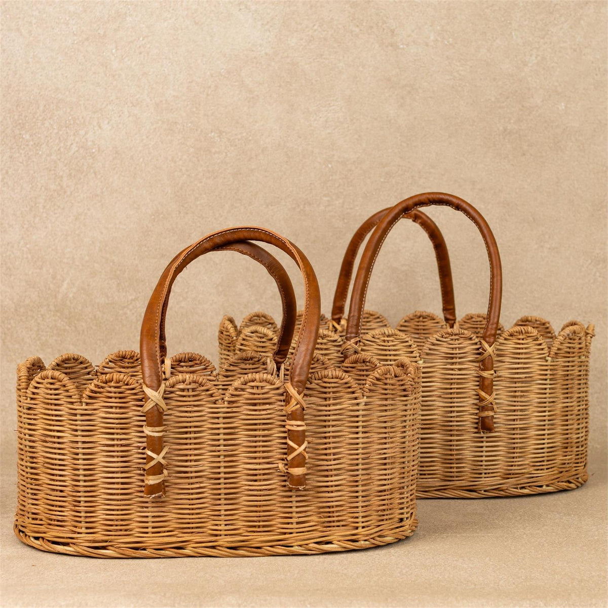 Natural Grace Handled Basket (Set of 2)
