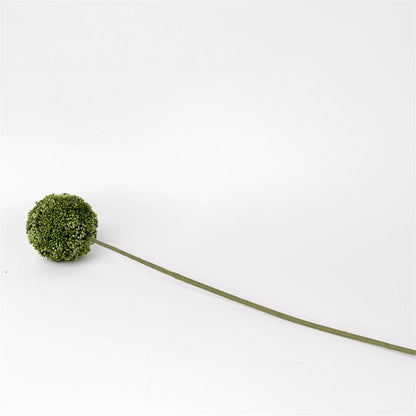 Stem - Allium Green