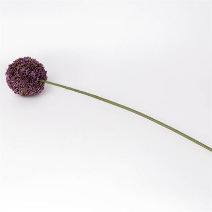 Stem - Allium Lavender