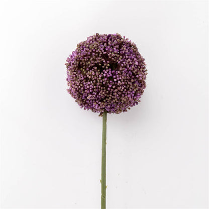 Stem - Allium Lavender