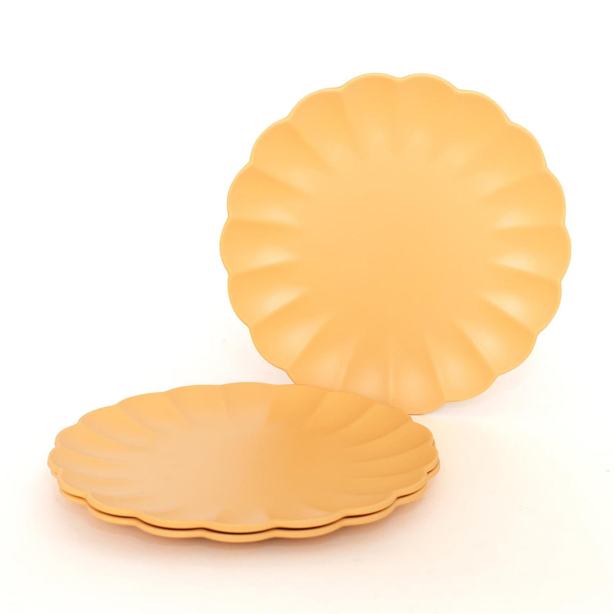 Scalloped Plate, Golden Dawn - Set of 12