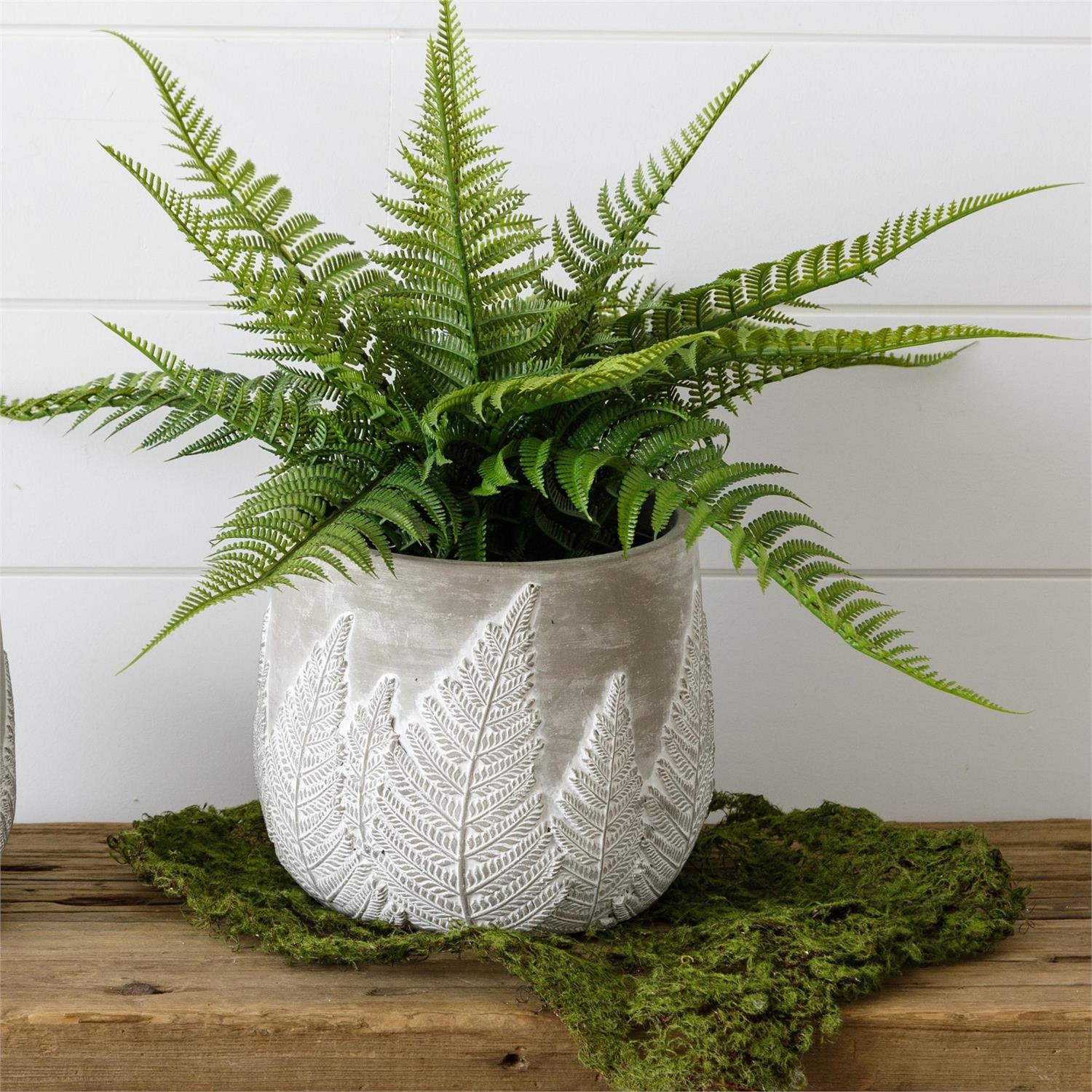 DEBOSSED FERN PLANTER, LG