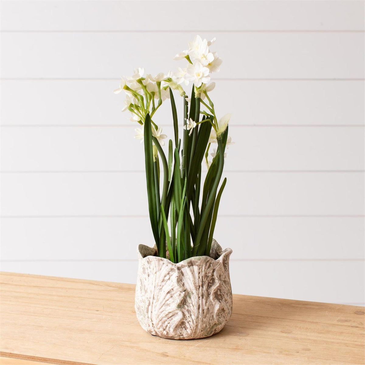 Planter - Distressed White Leaf Design