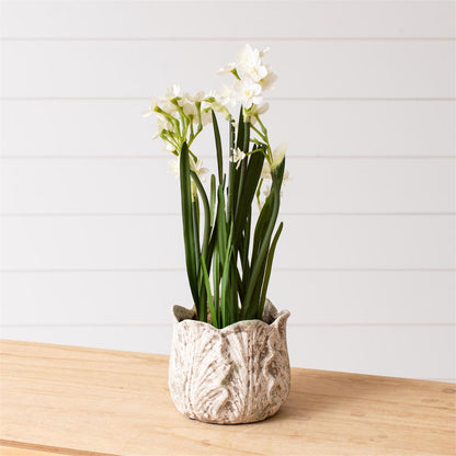 Planter - Distressed White Leaf Design
