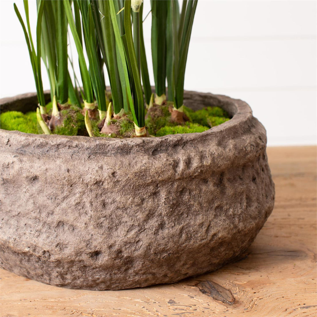 Planter - Shallow Rustic Textured Cement