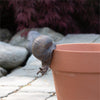 SNAIL POT HUGGER - Pack of 3