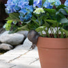 SNAIL POT HUGGER - Pack of 3