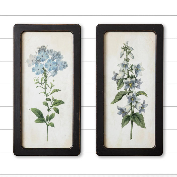 FRAMED PRINTS - BLUEBELLS AND FORGET ME NOTS