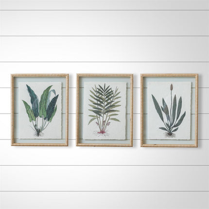 BEADED FRAMES - FERN PRINTS