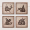 Framed Prints - Antique Forest Animals